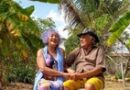 Casal de idosos se reencontra e se casa 63 anos após ter namoro proibido