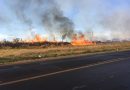 Bombeiros combatem vários focos de incêndio no Distrito Industrial em Uberlândia; veja vídeo